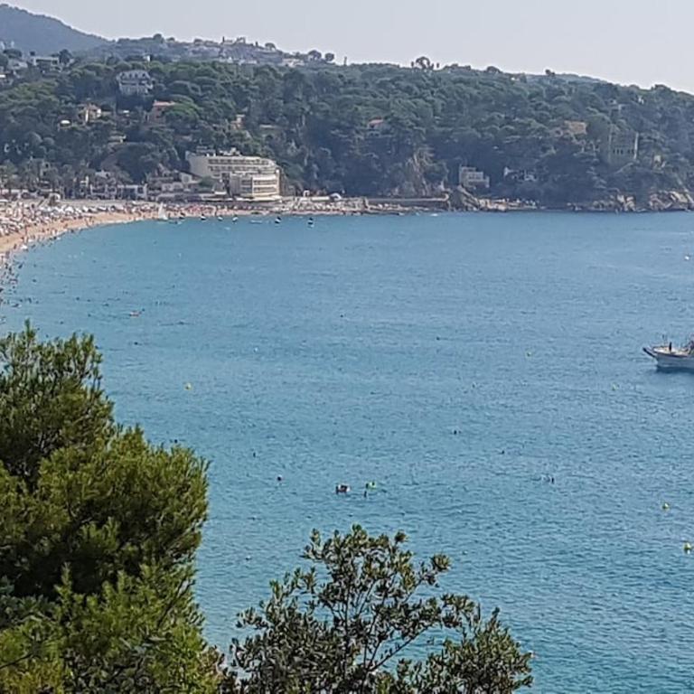 Vertice Marino - Apartamento de 1 dormitorio - 24