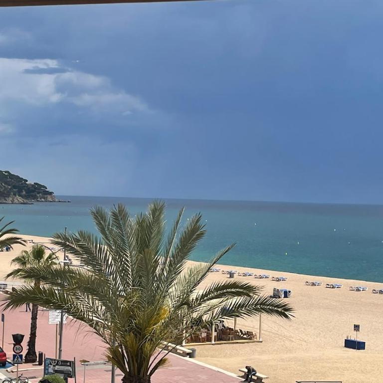 Vertice Marino - Apartamento de 1 dormitorio - 70