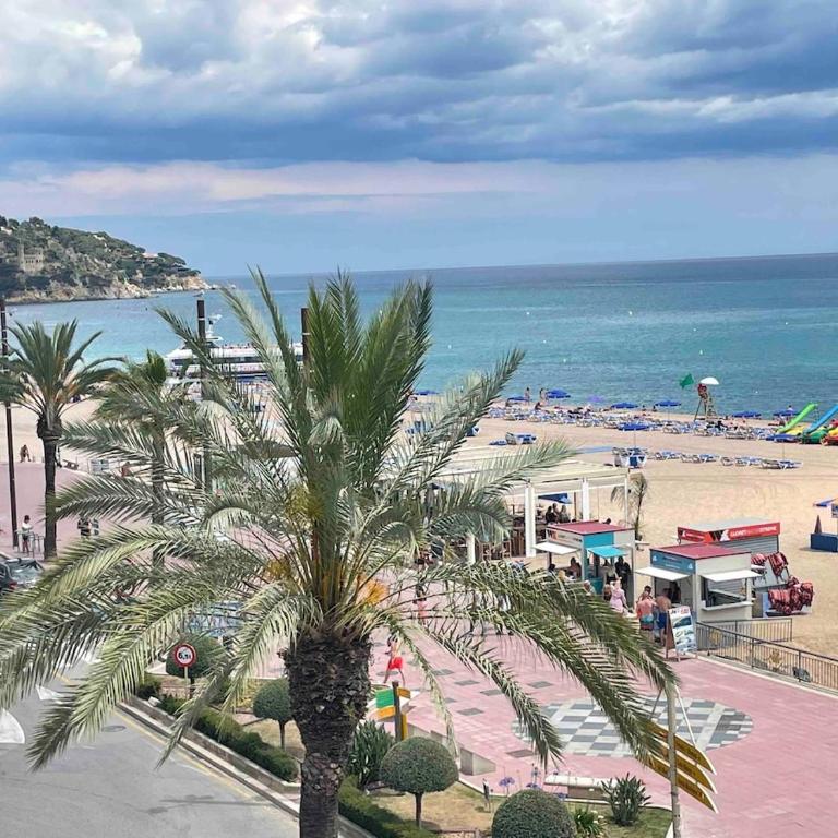 Vertice Marino - Apartamento de 1 dormitorio - 81