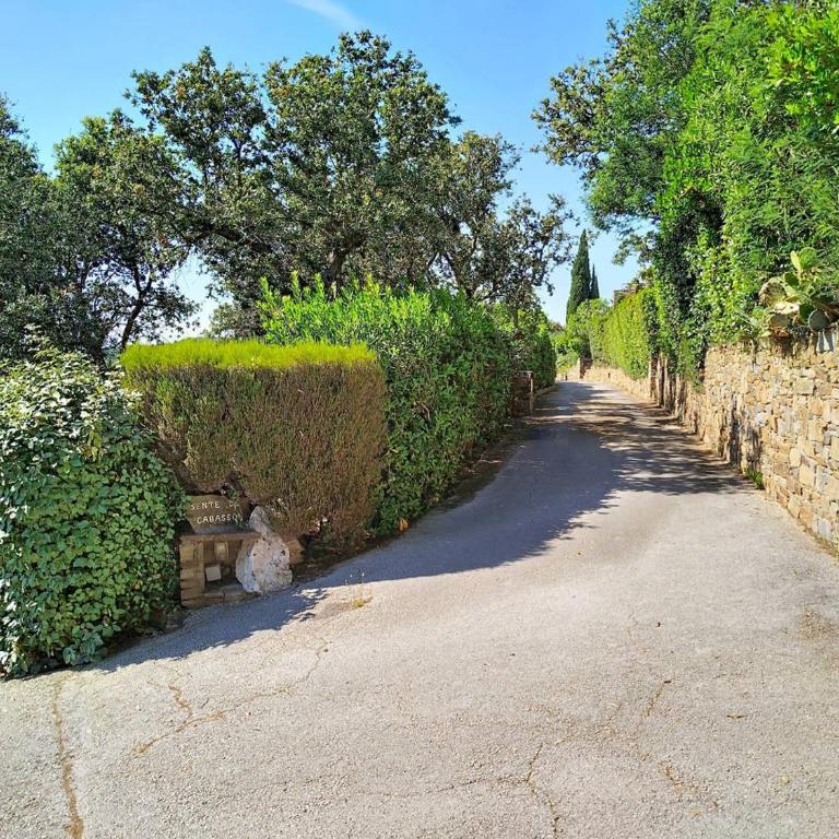 Maison mitoyenne climatisée avec parking, 4 pers., Bormes-les-Mimosas - FR-1-610-101 - Maison de Vacances - 19