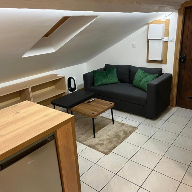 Appartement avec accès facile à la gare pour aller à Genève - Appartement 1 Chambre - 10