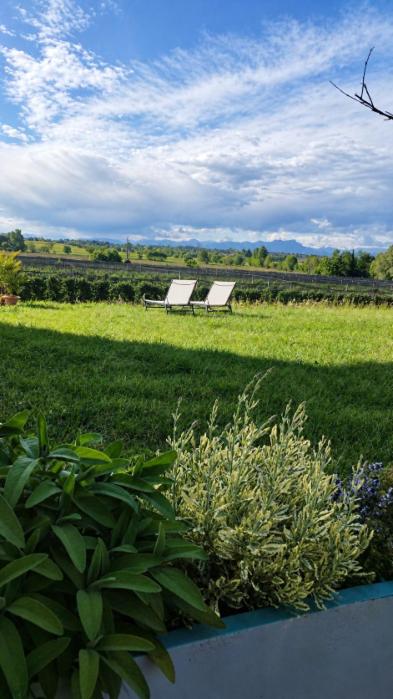 Agriturismo il meleto - Casa Vacanze - 24