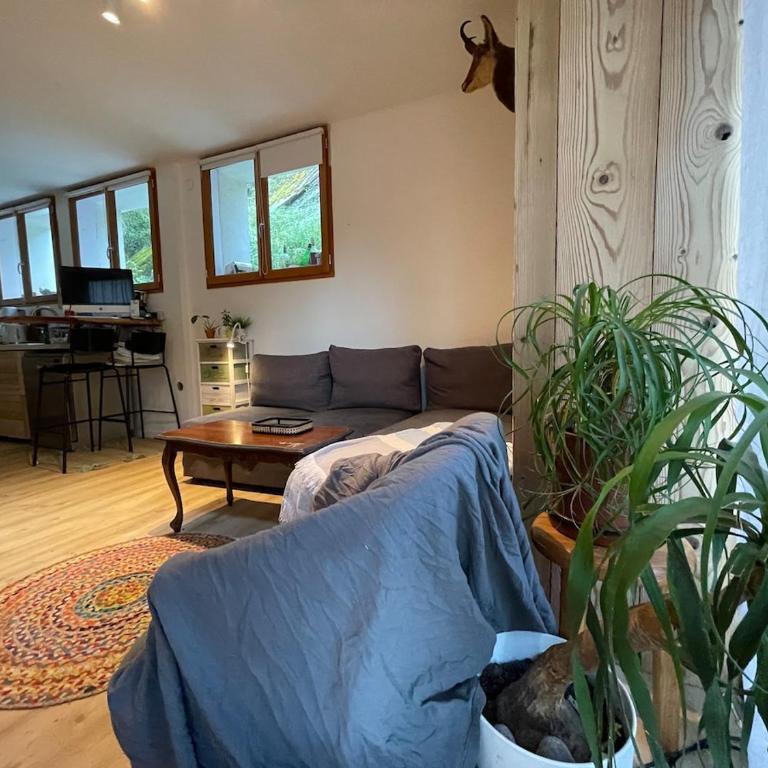 Montana Appartment - Appartement 2 Chambres - 1