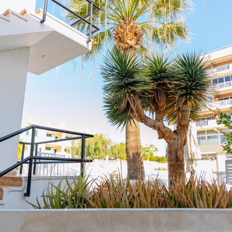 Central 2Bedroom 200m from beach Callao Salvaje Costa Adeje - Apartment mit 2 Schlafzimmern - 37