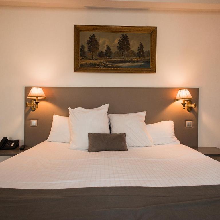 Hôtel Spa - Au Charme Rabelaisien - Chambre Double Prestige Jardin - 3