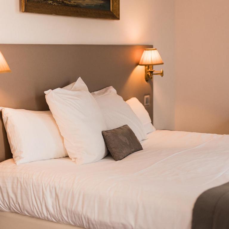 Hôtel Spa - Au Charme Rabelaisien - Chambre Double Prestige Jardin - 4