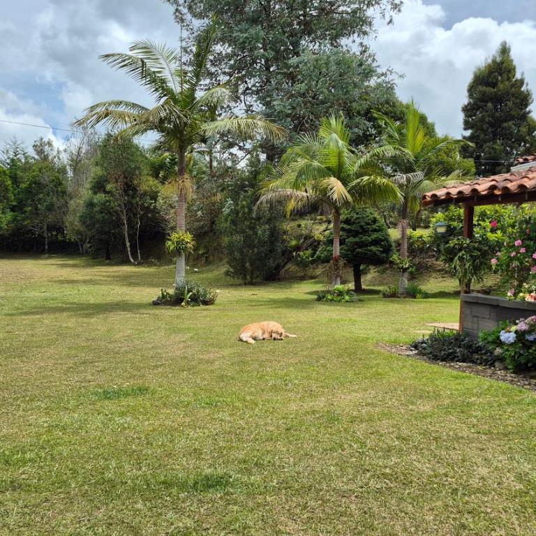casa campestre - Casa de 2 dormitorios - 8
