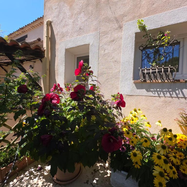 La Norjo - Appartement 2 Chambres - 6