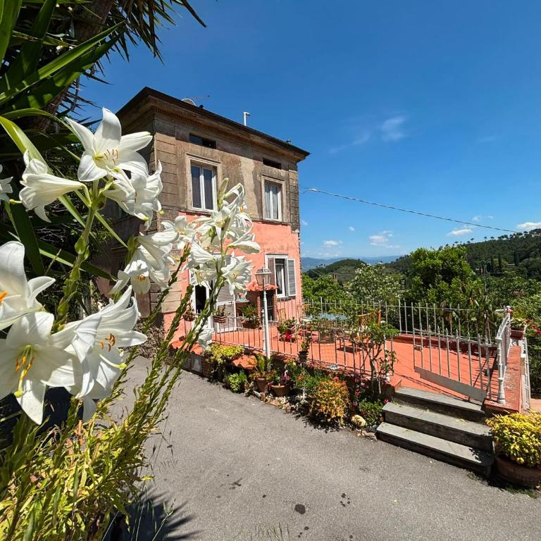 Le Balze - Casa con 2 Camere da Letto - 17