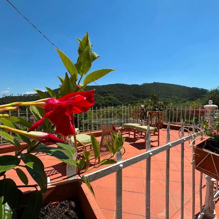 Le Balze - Casa con 2 Camere da Letto - 8