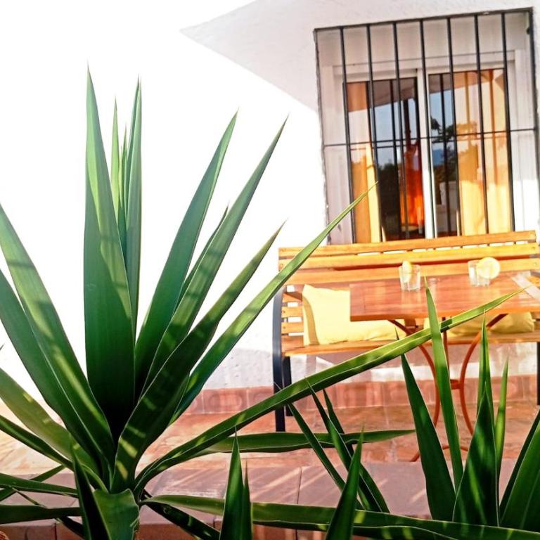 Finca el Aulagar 1 - Two-Bedroom House - 9