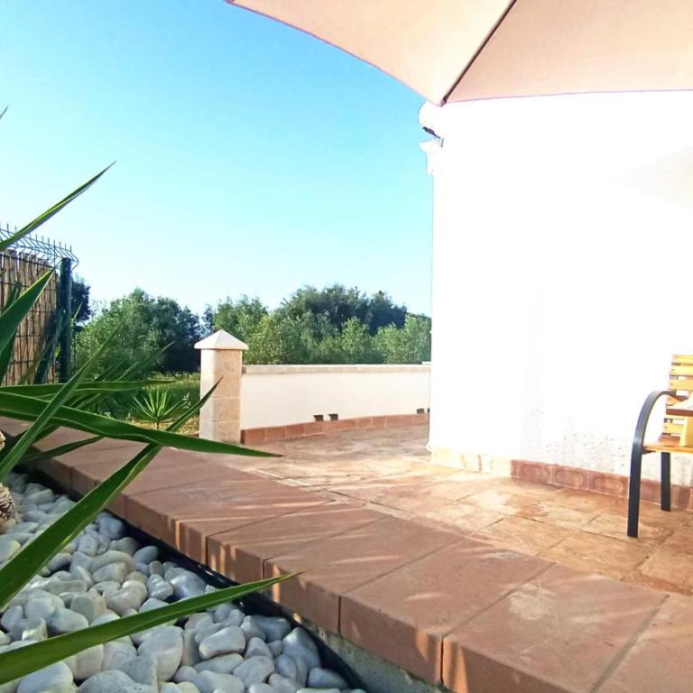 Finca el Aulagar 1 - Two-Bedroom House - 8