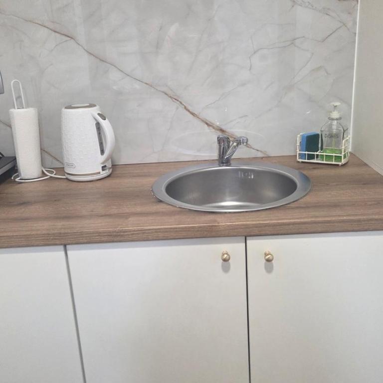 Apartmani Filip Kitić - Apartment mit 1 Schlafzimmer - 5