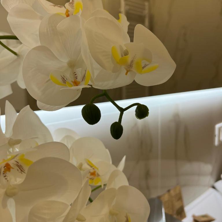 APPARTAMENTO ARENA DI VERONA 120MQ NETFLIX, WIFI e AIR CONDITIONING - Appartamento con 2 Camere da Letto - 34