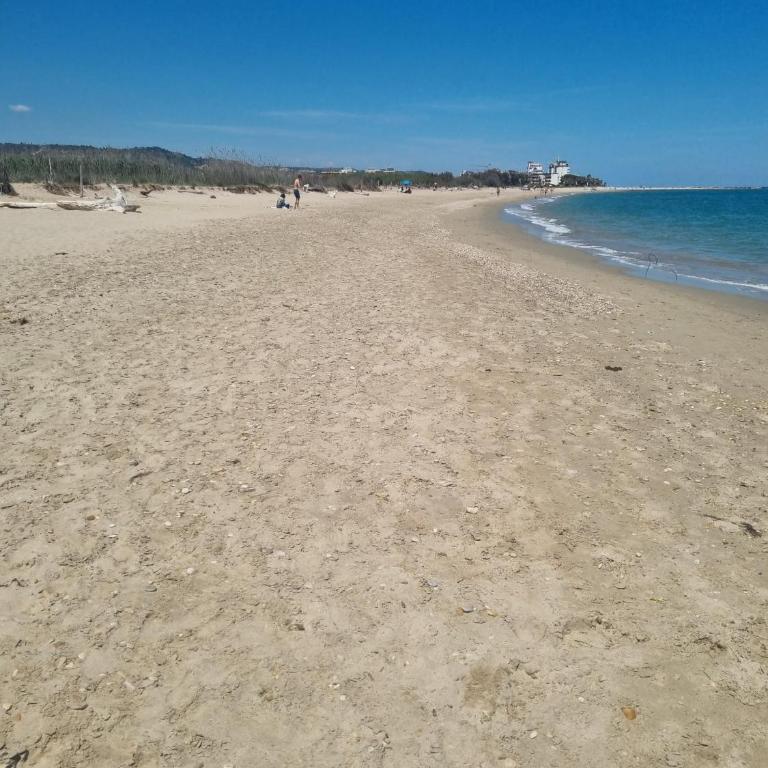 Appartamento Oasi Naturalistica e Mare - Appartamento con 1 Camera da Letto - 3