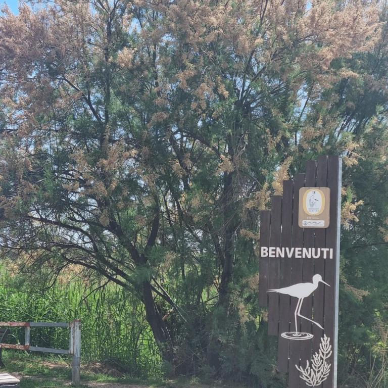 Appartamento Oasi Naturalistica e Mare - Appartamento con 1 Camera da Letto - 24