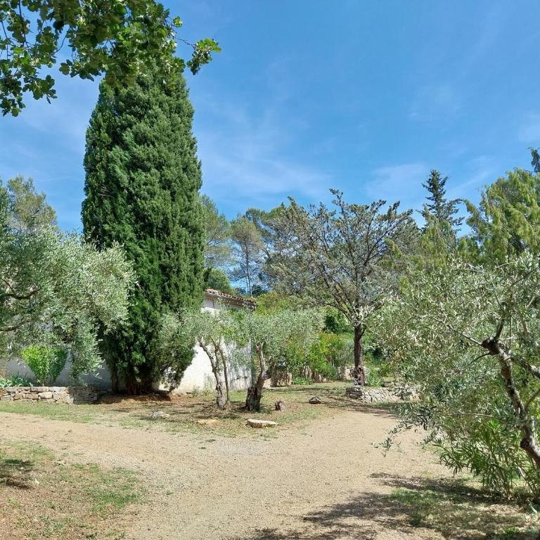 Idéale pour couple - Maison en Provence avec piscine et grand terrain - Maison 1 Chambre - 24