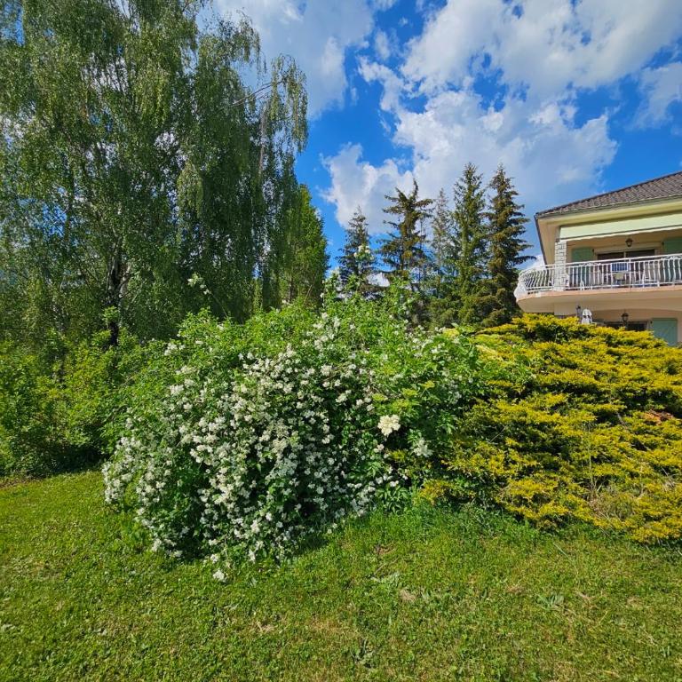 La Fleurose - Appartement 1 Chambre - 14