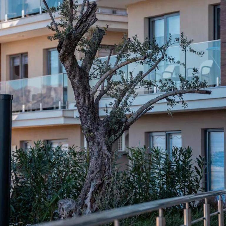 Eliza Sea View Apartment with Pool - Apartman sa 2 Spavaće Sobe - 8