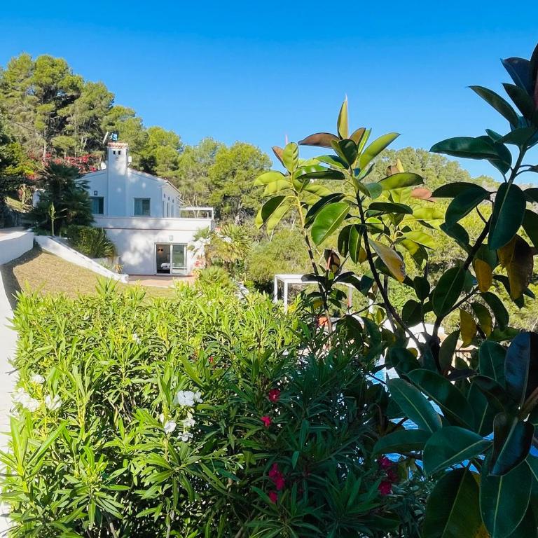 La Solana - Casa de 6 dormitorios - 5