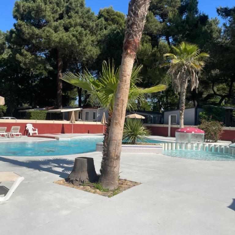 Camping 4 étoiles mobil-home confort 3 chambres - Apartment mit 3 Schlafzimmern - 14