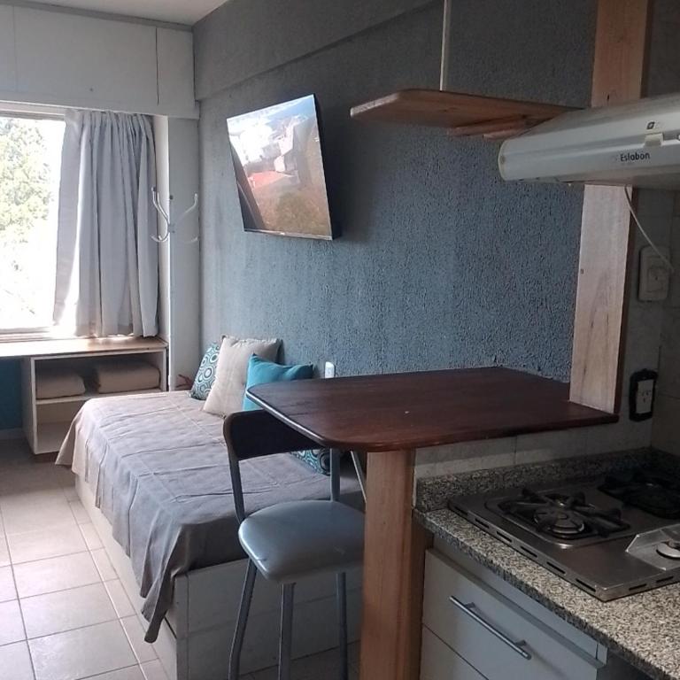 Center Vistas - Apartamento con vistas al lago - 6