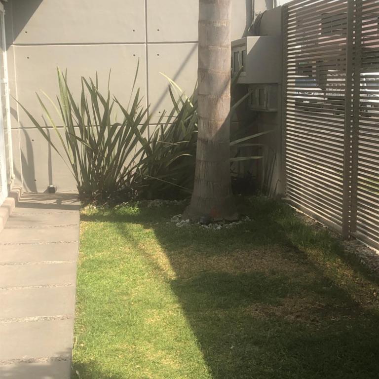Estancia Iturriaga zona hospitales e IPN norte Cd Mx - Double Room with Shared Bathroom - 12