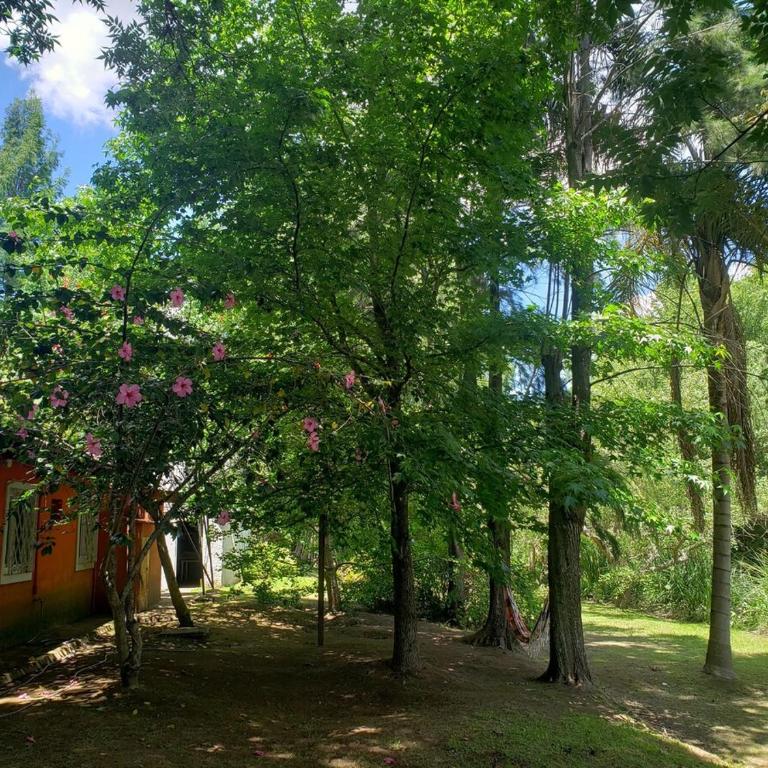 Casa La Suerte, Tigre Delta, Islas, Primera Sección - Casa de 3 dormitorios - 40