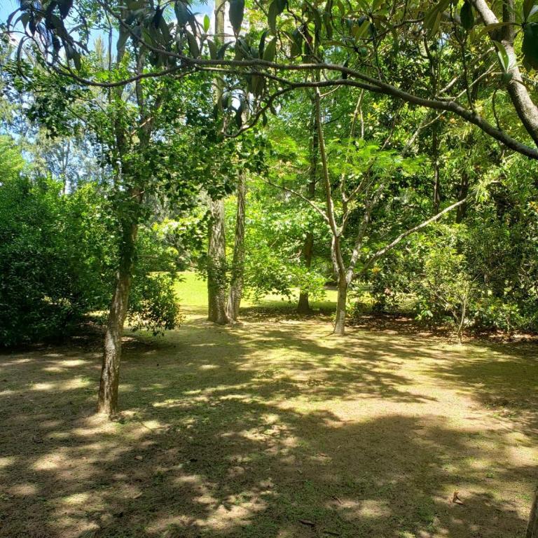 Casa La Suerte, Tigre Delta, Islas, Primera Sección - Casa de 3 dormitorios - 45
