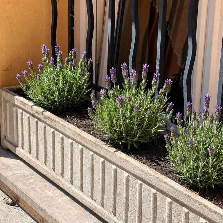 Quiet Private Apartment - 2min Train Station - 5min Palais Croisette - Private entrance - Appartement 2 Chambres avec Terrasse - 15