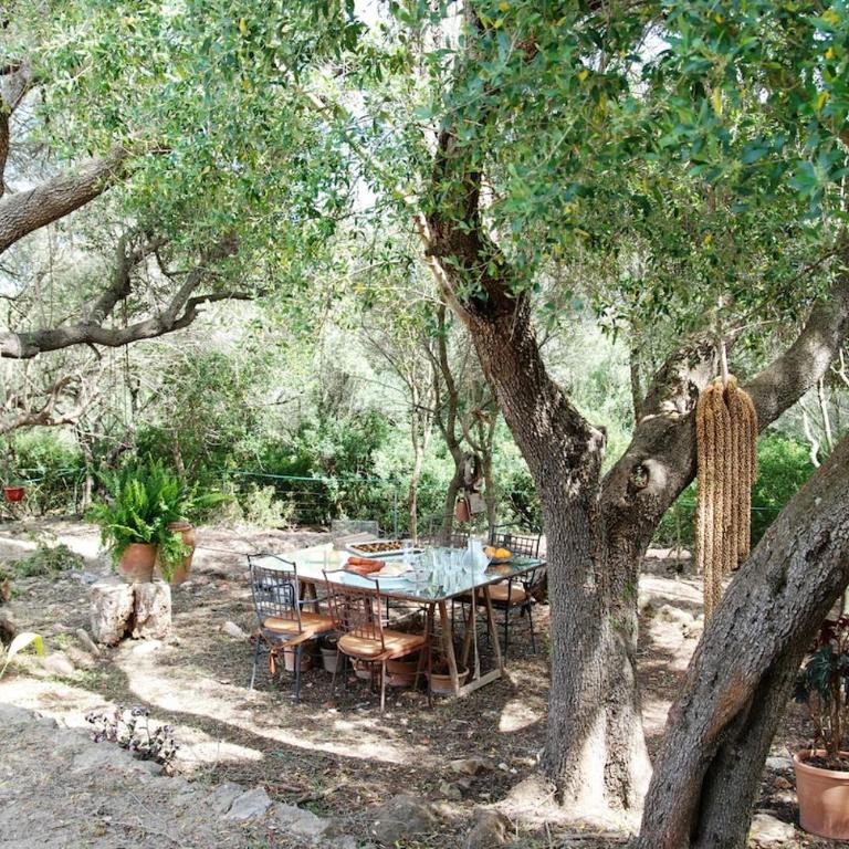 Cas Garriguer de sa Begura - Casa de 3 dormitorios - 15