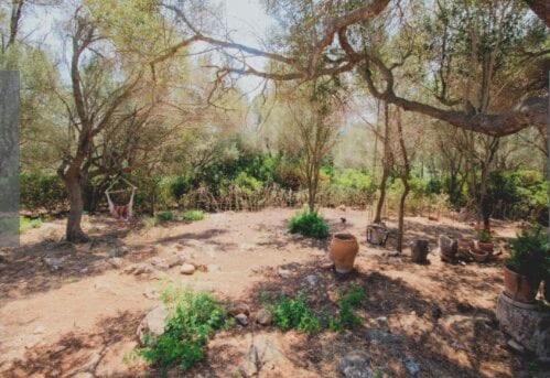 Cas Garriguer de sa Begura - Casa de 3 dormitorios - 18