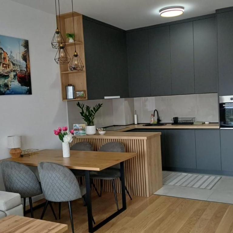 Apartman Pavle - Apartment mit 1 Schlafzimmer - 3