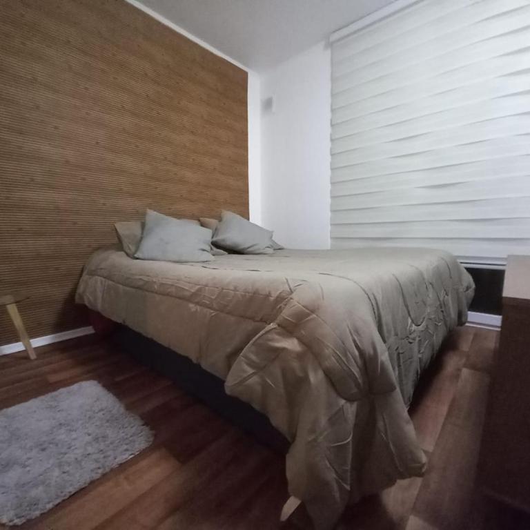 Villarrica Céntrico - Three-Bedroom Standard Apartment - 42