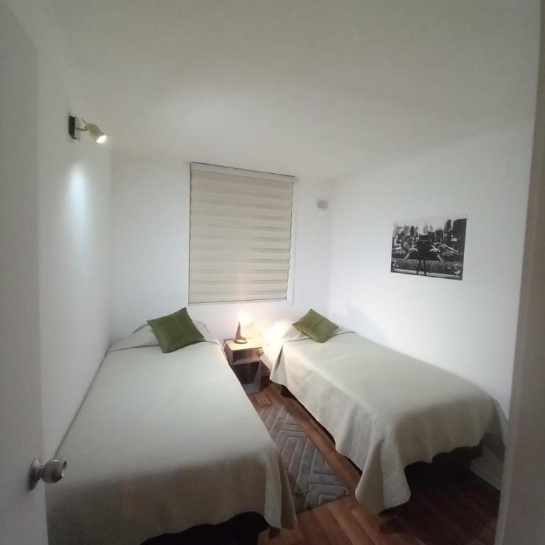 Villarrica Céntrico - Three-Bedroom Standard Apartment - 48