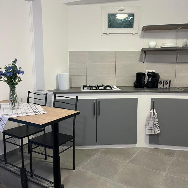 Renovated apartment in Nice! 5-minute walk from the sea! - Appartement 1 Chambre - 15