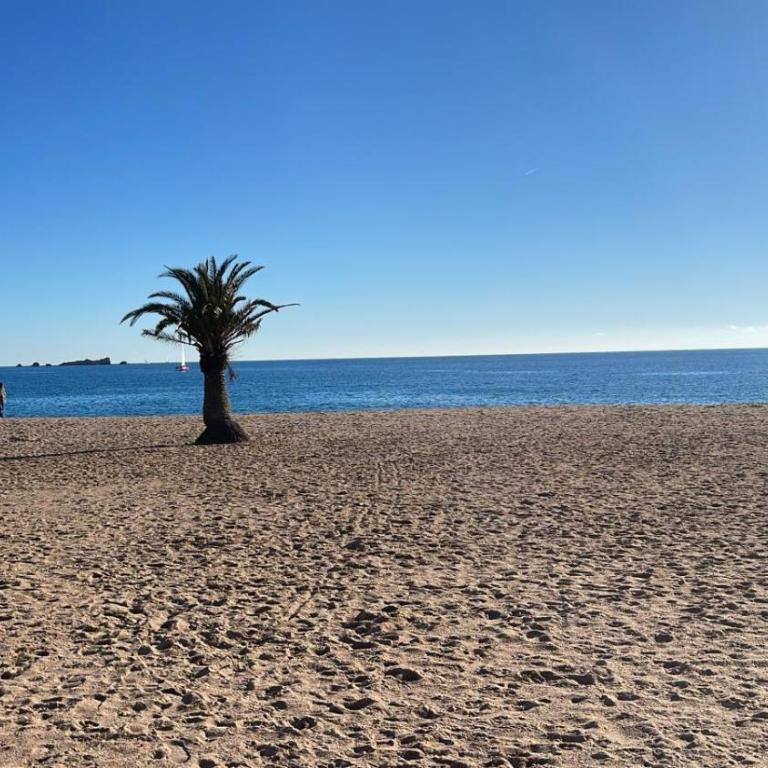 Charmant studio 100 m de la plage - Monolocale - 4