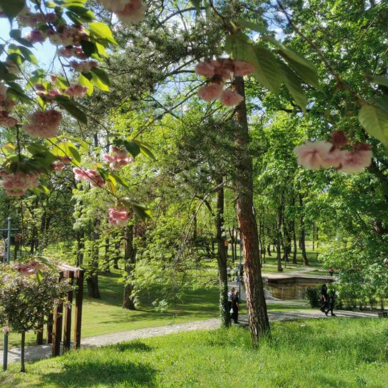 Bella Verde - Apartman sa 1 Spavaćom Sobom - 5