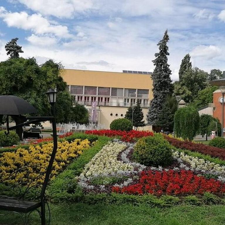 Bella Verde - Apartman sa 1 Spavaćom Sobom - 17