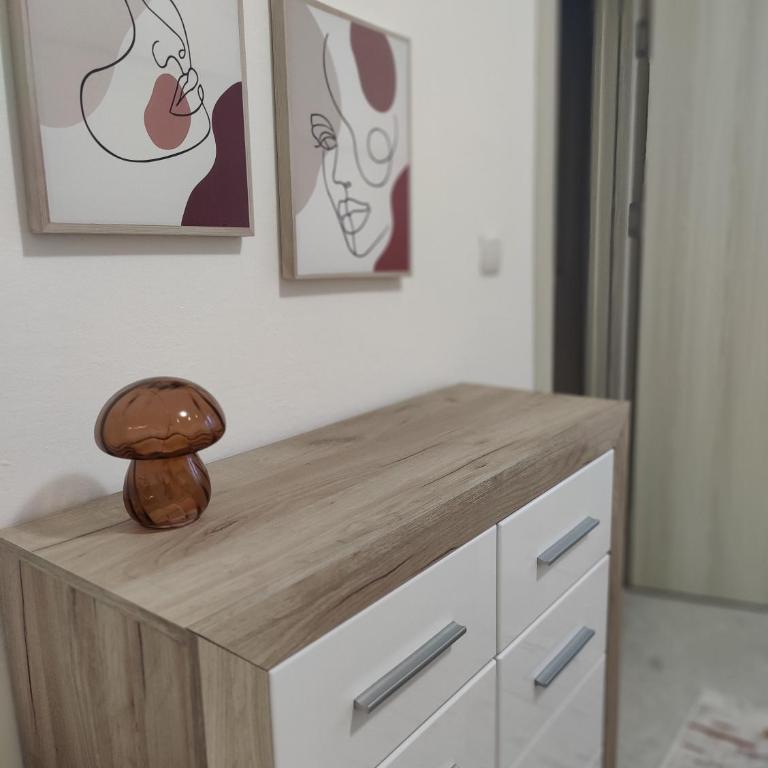 Apartments Gabi&Zdenka Tivat - One-Bedroom Apartment with Garden View - 15
