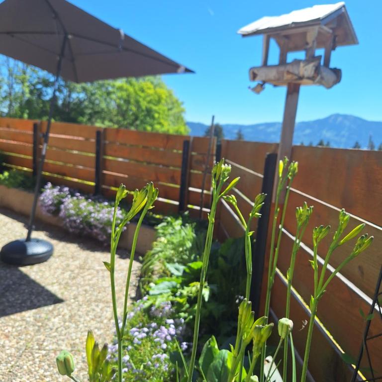 Loft 31 - Modernes Apartment mit Sonnenterasse und Bergblick - Apartment mit 1 Schlafzimmer - 6
