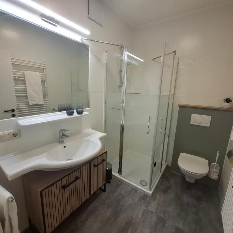 Apartment Hannah in Haus im Ennstal - 5 min to Schladming - Apartment mit 1 Schlafzimmer - 17