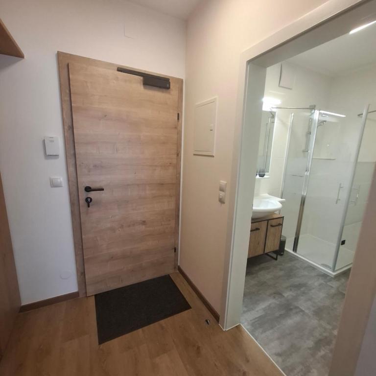 Apartment Hannah in Haus im Ennstal - 5 min to Schladming - Apartment mit 1 Schlafzimmer - 21