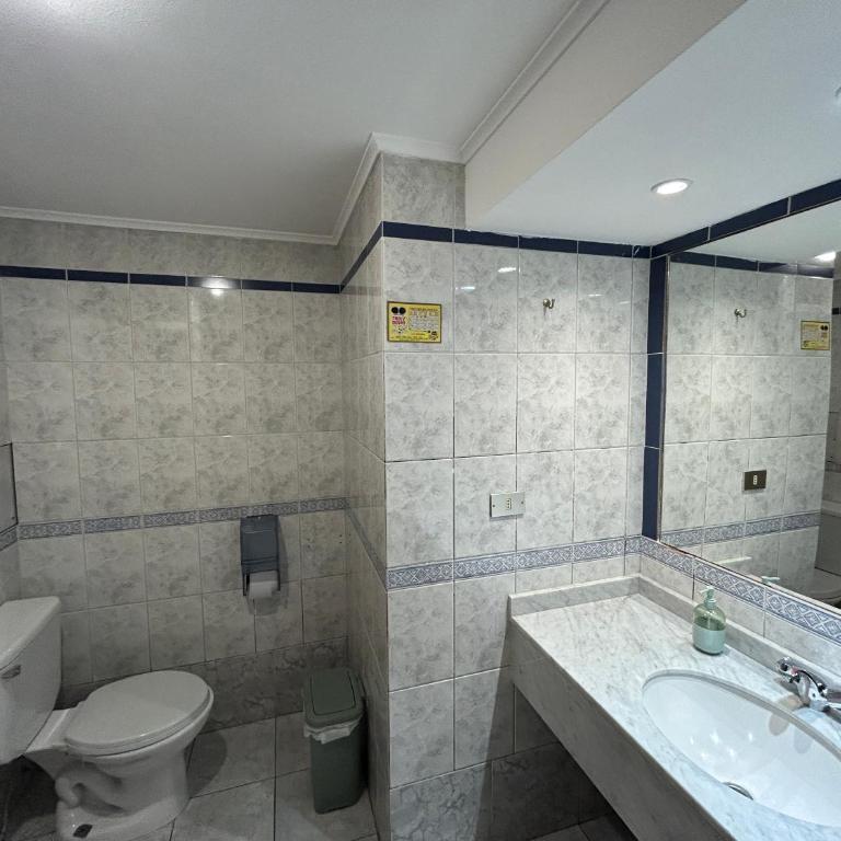 Hotel Licantay - Classic Double Room with City View - 7