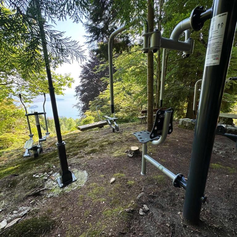 Private Luxury Spa & Silence Retreat with Spectacular View over the Lake Maggiore - Appartamento con Vista Lago e Accesso Spa - 43