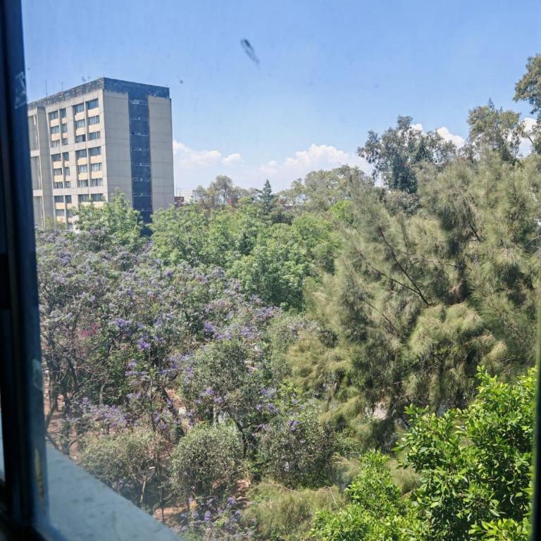 El Reyna Increíble Dept de 120 mts en Tlatelolco - Apartamento de 2 dormitorios - 6