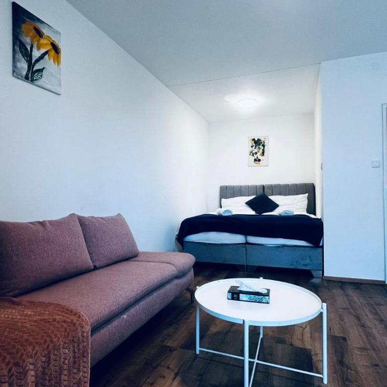 Studio Apartment at Train station and City center - Apartment mit 1 Schlafzimmer - 4