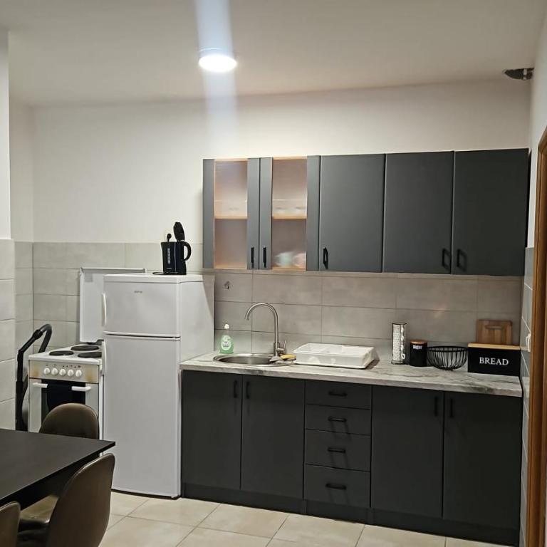 Luxury Apartment Nobel - One-Bedroom Apartment - 3