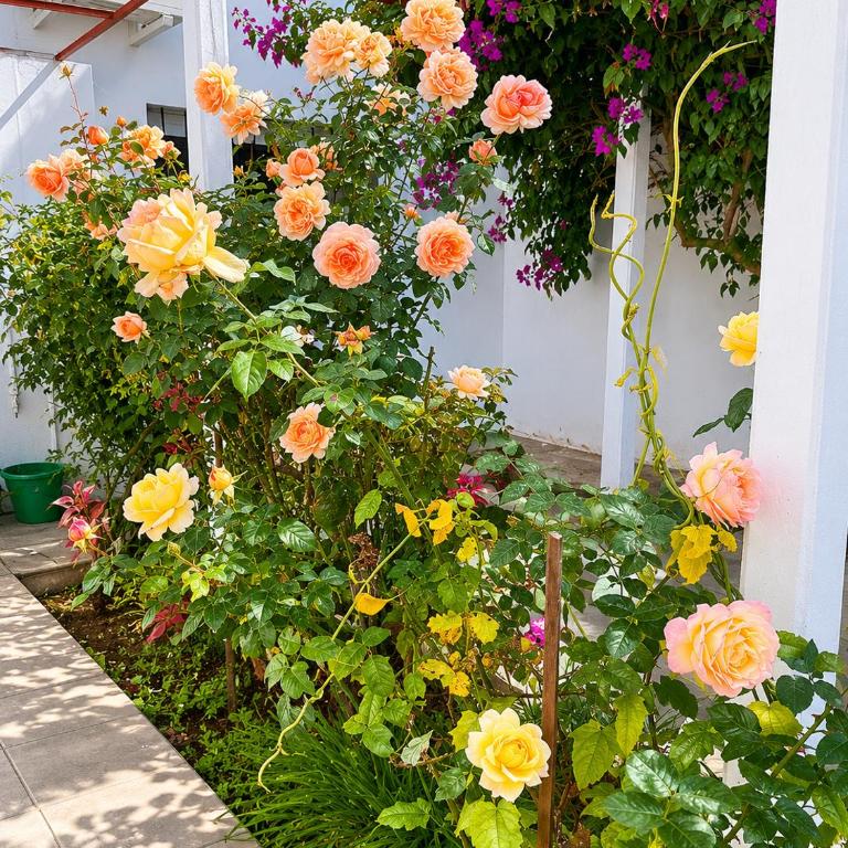 Alojamiento Uruguay - Two-Bedroom House - 7
