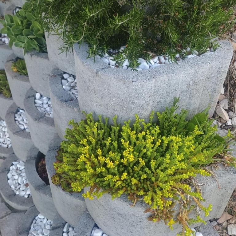 Appartamento Girasole - Appartamento con 3 Camere da Letto - 11